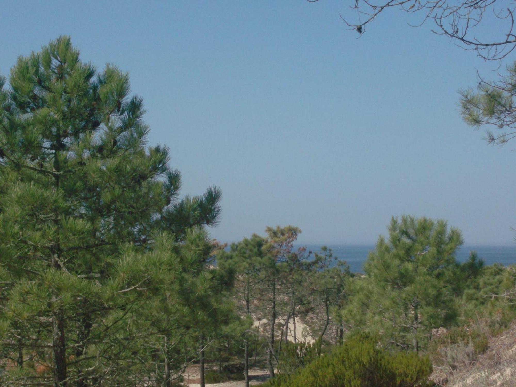 Alojamento Local Verde E Mar كومبورتا المظهر الخارجي الصورة
